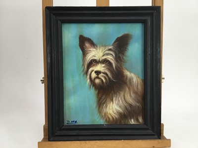 Lot 153 - D. McArthur, oil on canvas,  
"Buddy" a Yorkshire terrier, signed 
with initials, also inscribed on label verso, in black 
frame. 25 x 19cm.