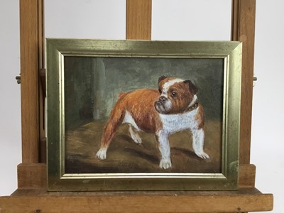 Lot 154 - English School, oil on board, 
A study of an English bulldog, in gilt 
frame. 15 x 19cm.