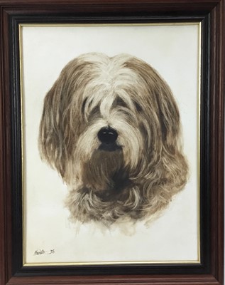Lot 164 - Davis Nesbitt,  
oil on canvas 
board, 
"Monty" an old English Sheepdog, signed and dated '95, inscribed verso, in 
stained frame. 40 x 29cm.