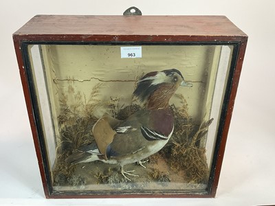 Lot 963 - Mandarin Duck within naturalistic setting in glazed case