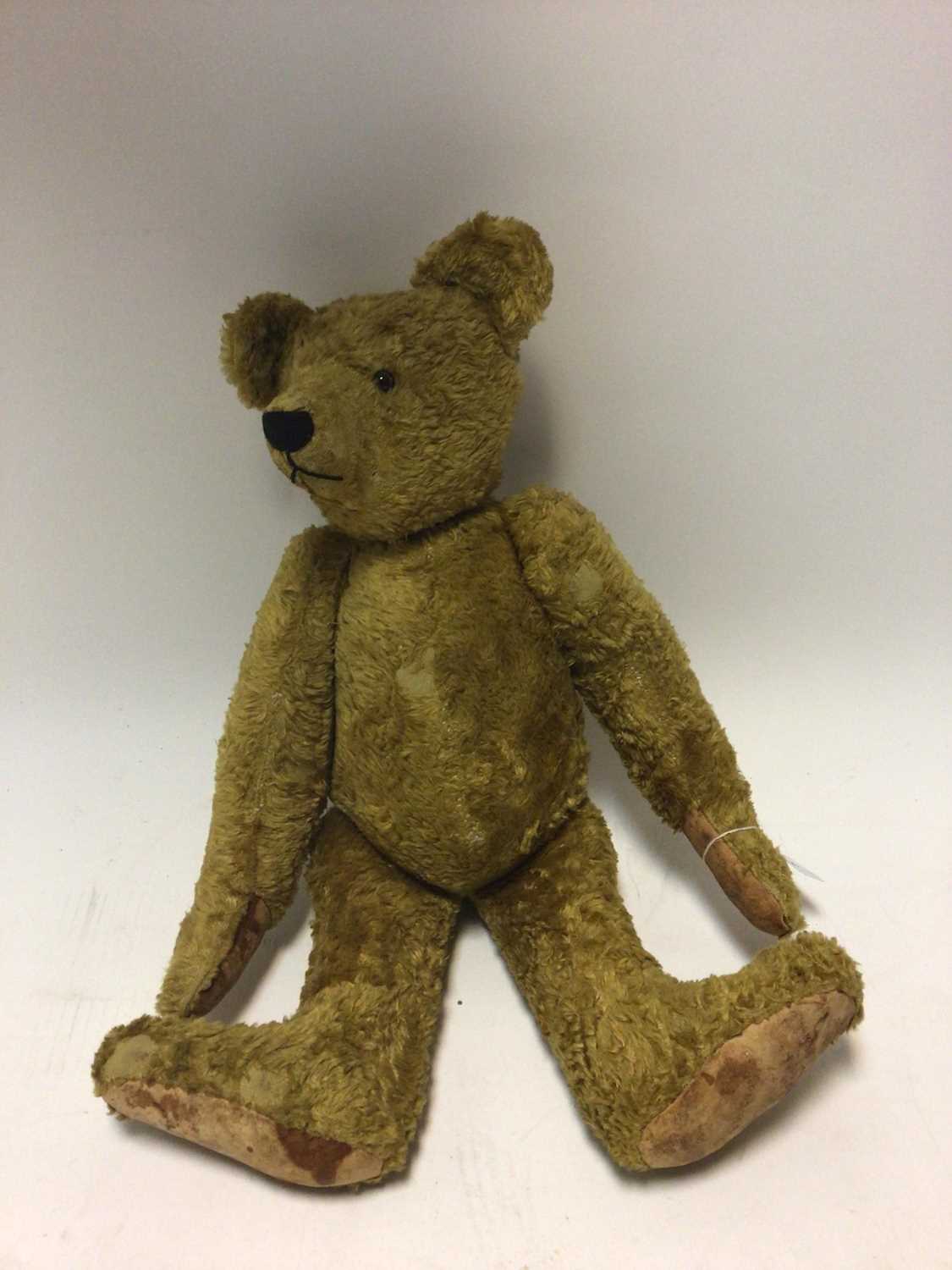 Lot 1901 - Teddy Bear golden mohair plush, long arms,