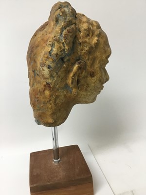 Lot 79 - Plaster sculpture of a Nubian head, on stand