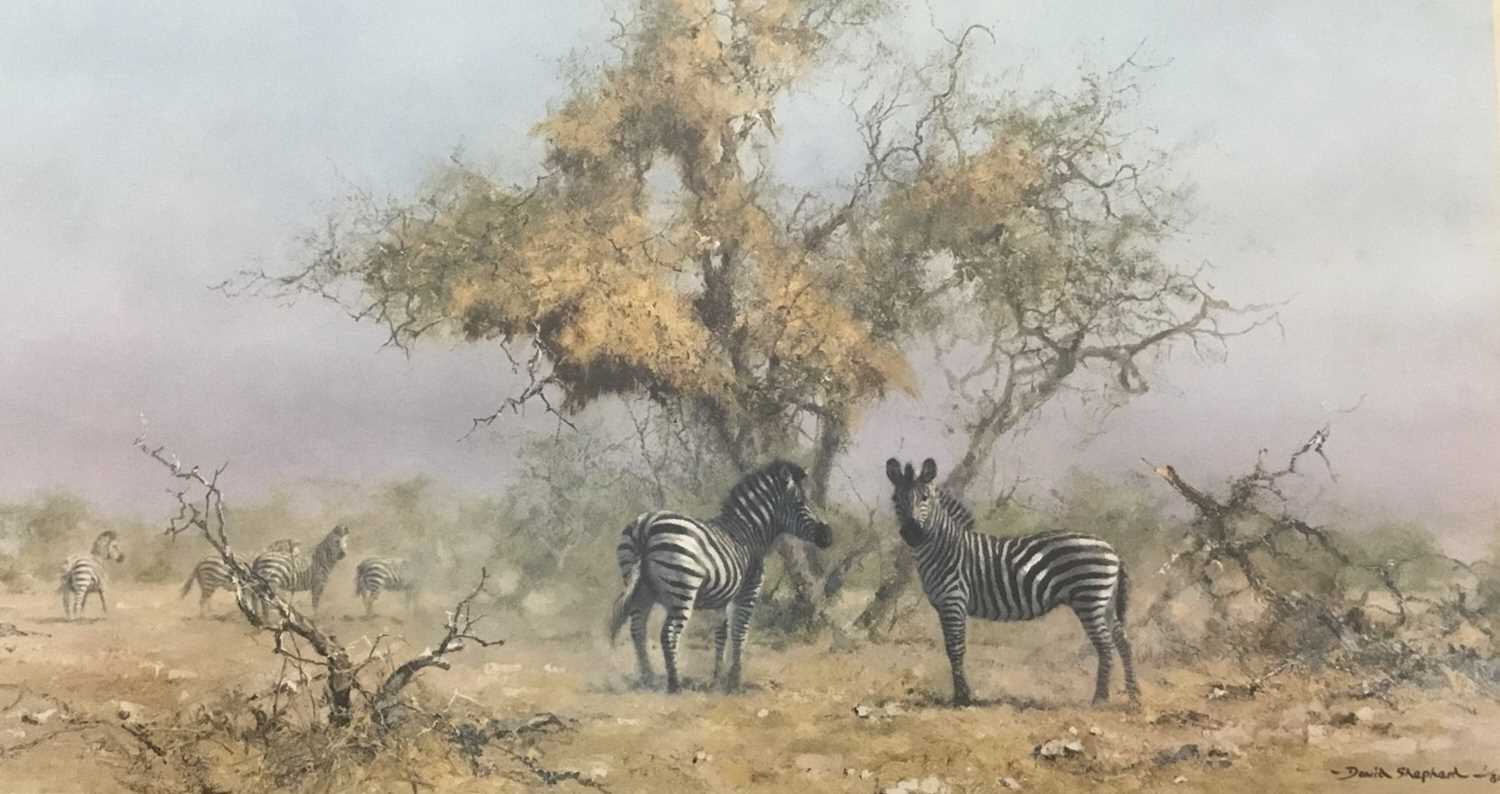 Lot 80 - David Shepherd (1931-2017) signed colour print in glazed frame - Zebras and Colony Weavers