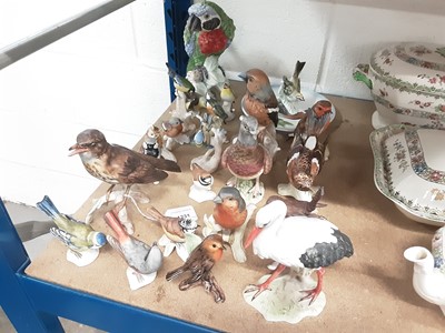 Lot 1231 - Collection of Goebel porcelain bird ornaments