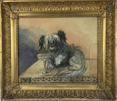 Lot 269 - Late 19th / early 20th century pastel  of a dog in gilt glazed frame