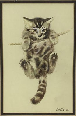 Lot 38 - Charles Clifford Turner, watercolour of a cat
