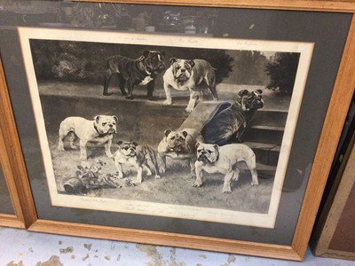 Lot 355 - Two large framed prints - Bulldog and Bull-bitches of the 20th century