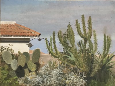 Lot 9 - Denise Williams oil on canvas - Cacti, signed, 40.5cm x 30.5cm, unframed