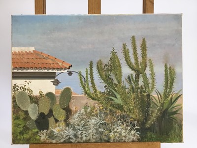 Lot 9 - Denise Williams oil on canvas - Cacti, signed, 40.5cm x 30.5cm, unframed