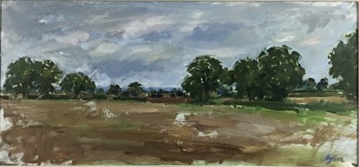 Lot 14 - Henrietta Charteris (b. 1979) oil on canvas landscape, 95cm x44cm framed. Overall 114cm x 64cm.