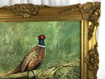 Lot 51 - Peter Merrin (Contemporary) oil on board Pheasant
