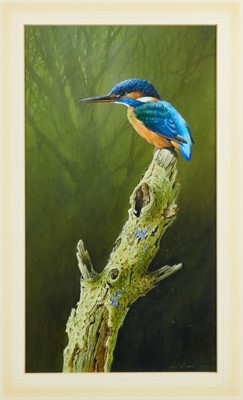 Lot 1260 - Terence James Bond (b.1946) gouache - Kingfisher, signed, 45cm x 25cm, in glazed gilt frame