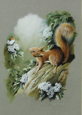 Lot 1262 - Terence James Bond (b.1946) gouache - Red Squirrell, signed, 51cm x 35cm, in glazed gilt frame