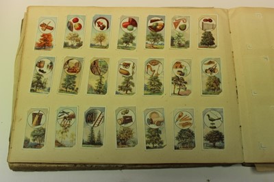 Lot 1568 - Cigarette Cards - Overseas Issues