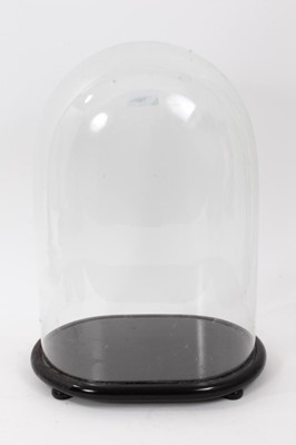 Lot 768 - Victorian glass dome on ebonised stand with four bun feet, measuring 40cm high in total