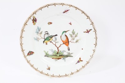 Lot 138 - Good set of four 19th century English porcelain plates, each polychrome enamelled with birds and insects, with gilt patterned borders, 26cm diameter