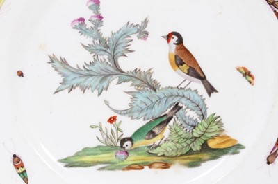 Lot 138 - Good set of four 19th century English porcelain plates, each polychrome enamelled with birds and insects, with gilt patterned borders, 26cm diameter