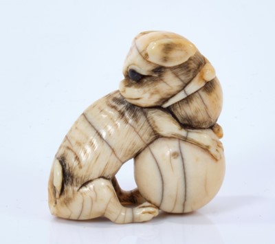 Lot 801 - A Japanese ivory netsuke, in the form of a shi-shi with a ball