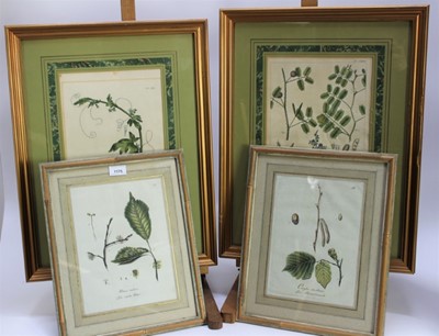 Lot 1175 - Pair of 18th century German hand coloured botanical engravings