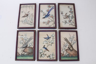 Lot 891 - Set of six early 20th century Chinese pith paintings of exotic birds in glazed period Rowley frames