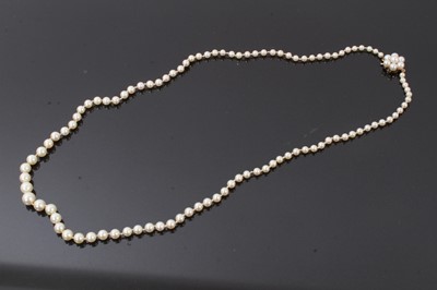 Lot 595 - Cultured pearl necklace with 9ct gold clasp