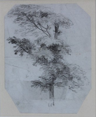 Lot 1255 - George Frost (1745-1821) black chalk study - An Elm Tree, 17.5cm x 14cm, in glazed gilt frame 
Provenance: Stanhope Shelton, Monks Eleigh, 3rd May 1980