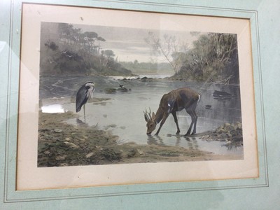 Lot 72 - Archibald Thorburn pair of coloured prints - Grouse and Deer with a Heron, 18cm x 25cm, in glazed gilt frames
