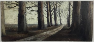 Lot 159 - English school (late 20th century) oil on board, Avenue of trees, apparently unsigned.