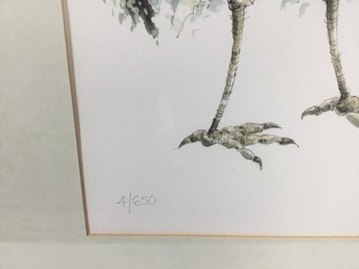 Lot 61 - Judy Rossouw, contemporary, signed limited edition print - Guinea Fowl, 4/650, 51cm x 39cm, in glazed gilt frame