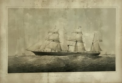 Lot 130 - New Zealand and Australian interest Victorian black and white lithograph by T. G. Dutton - Screw Steam Ship "Tararua", 831 Tons, published ...