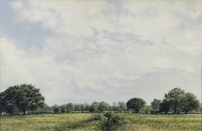 Lot 181 - Michael Pettersson (b. 1955) watercolour - Dedham Midsummer, signed 1987, 37 x 55cm, glazed frame