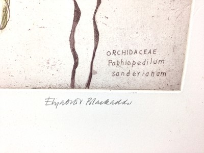 Lot 118 - Dame Elizabeth Blackadder (1931-2021) signed limited edition coloured etching - Orchids, 22/40, unframed 58cm x 46cm