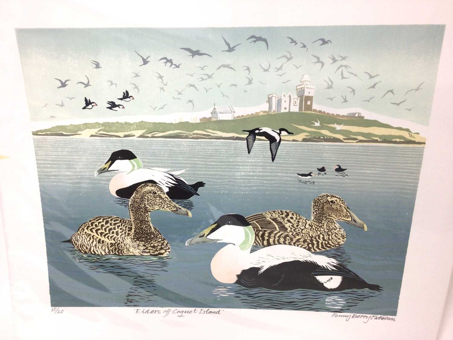 Lot 163 - Penny Berry Paterson (1941-2021) colour linocut, Eiders off Coguet Island, signed, titled and numbered 4/20, image 32 x 42cm, unframed