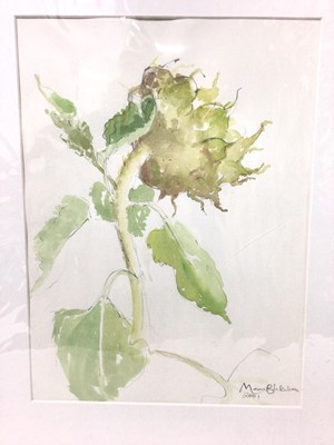 Lot 41 - Marcia Blakenham (b.1946) two watercolours - Botanical studies, signed an dated 2000 and 2001, 37cm x 27cm, mounted
