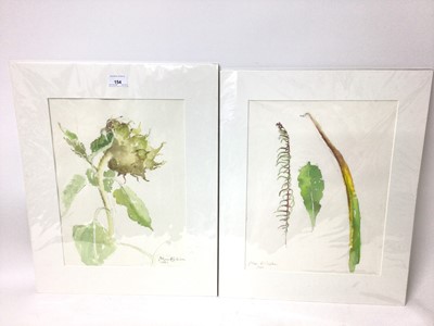 Lot 154 - Marcia Blakenham (b.1946) two watercolours - Botanical studies, signed an dated 2000 and 2001, 37cm x 27cm, mounted