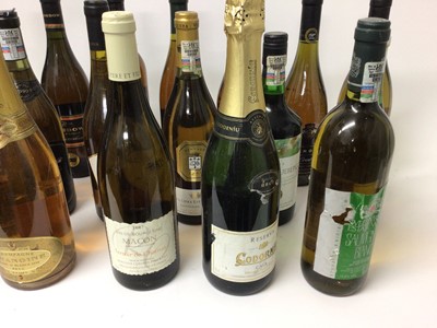 Lot 43 - Twenty bottles of white wine