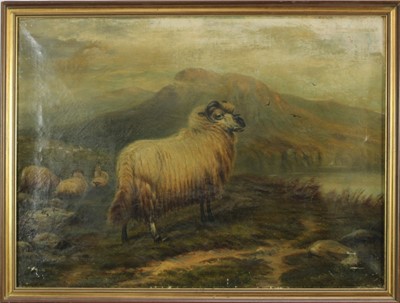 Lot 1120 - Vincent Collier, late 19th century, oil on canvas - Highland Sheep, signed, 50cm x 67cm, in gilt frame