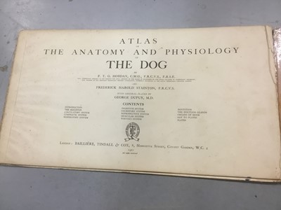 Lot 1716 - Bailliere’s Atlas of the dog book