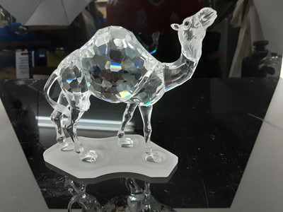 Lot 1249 - Swarovski crystal African Wildlife model - Camel