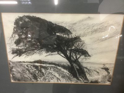 Lot 279 - Collection of pictures
