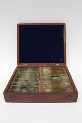 Lot 2586 - 19th century mahogany microscope slide box containing 48 slides