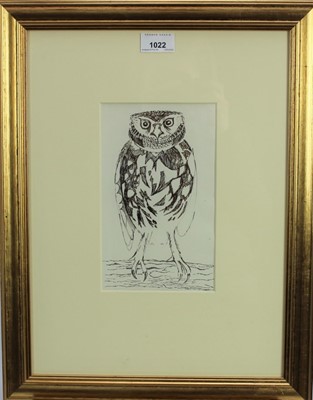 Lot 1022 - John Norris Wood (1930-2015) pen and ink - Little Owl Perching, 21.5cm x 13cm, in glazed gilt frame  
Provenance: Chris Beetles Ltd., London