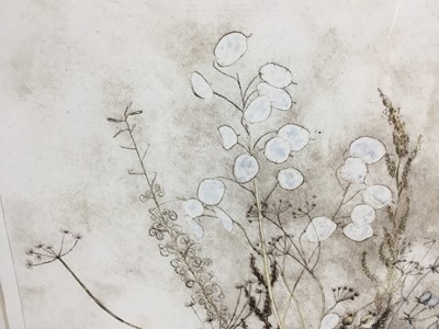 Lot 171 - Penny Berry Paterson (1941-2021) etching and aquatint - Autumn Seedheads, signed and numbered 2/4,  40cm x 48cm , in glazed frame